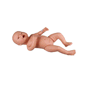 Mannequin de soins néonatal éco masculin ou féminin