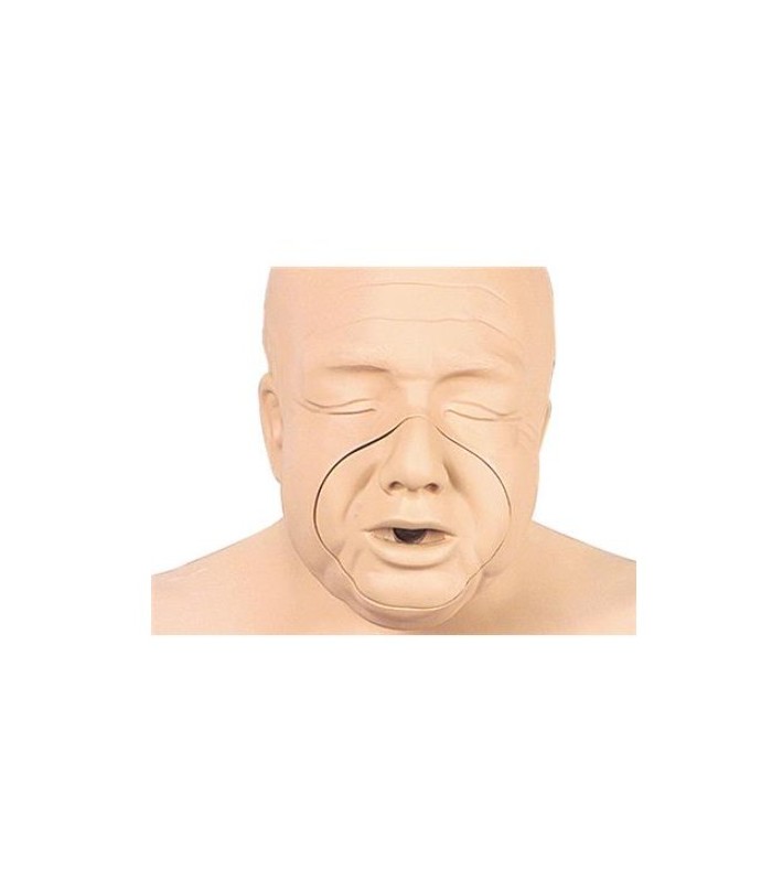 Maniquí adulto formación RCP 32254 | MMF.fr