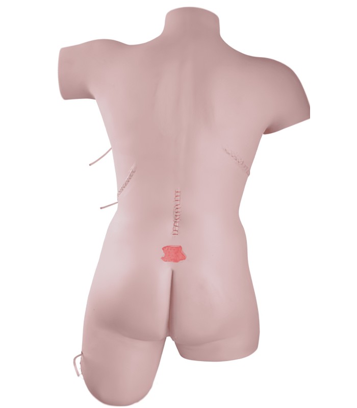 Simulateur de soins des plaies et techniques de pansement 32257 | MMF.fr