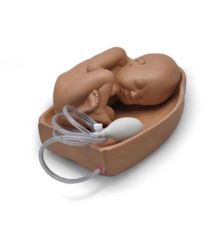 Mannequin de simulation manœuvre de Leopold 34396 | MMF.fr