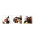 Eclairage portable d'urgence Revel Scout 38758 | MMF.fr