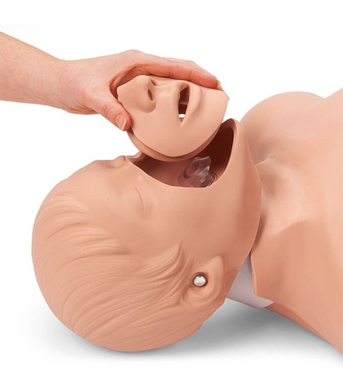 Manikin adult CPR training Brad 31460 | MMF.fr