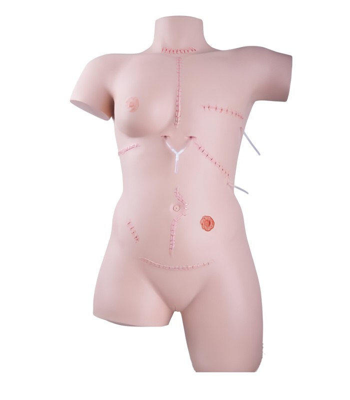 Simulateur de soins des plaies et techniques de pansement 32257 | MMF.fr