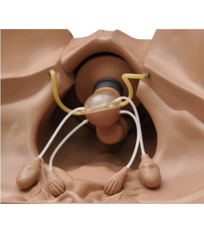 Manikin gynecological simulator ZOE® 32575 | MMF.fr