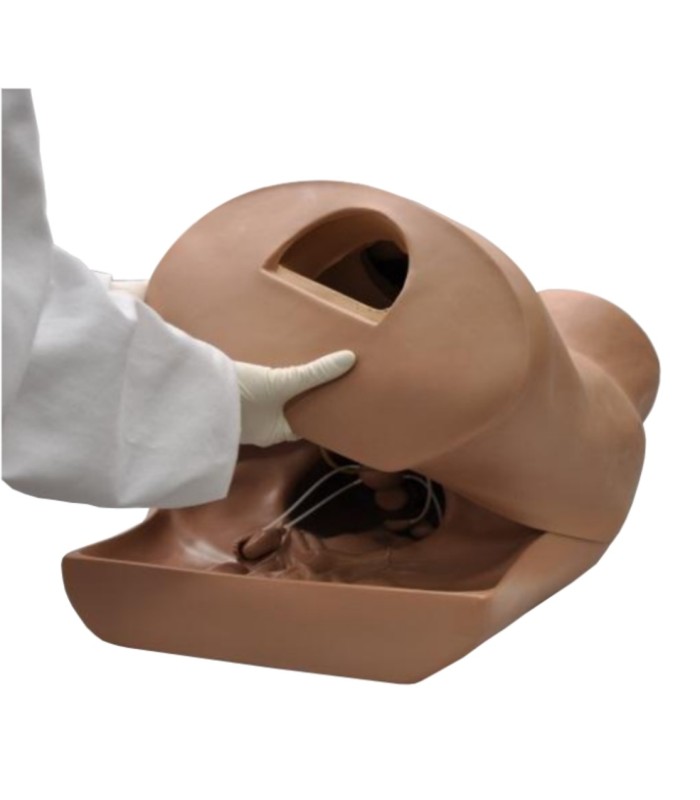 Manikin gynecological simulator ZOE® 32575 | MMF.fr
