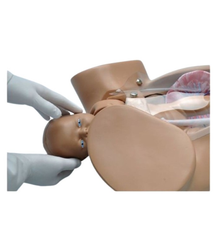 Mannequin de simulation d'accouchement SUSIE® 32577 | MMF.fr