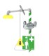 Standing safety shower with eye and face wash station 3882 | MMF.fr