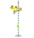 Stand shower with eye and face wash station 3873
