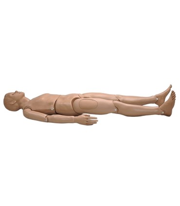 Mannequin de soins de base adulte masculin Simon