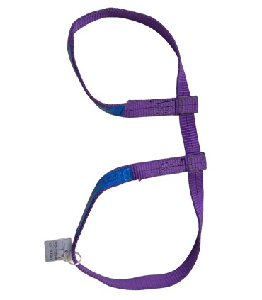 Anti-whiplash strap for fire hose