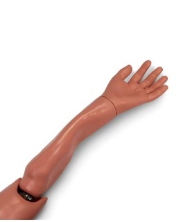 Avant bras et main pour mannequin de sauvetage adulte Randy 48 kg