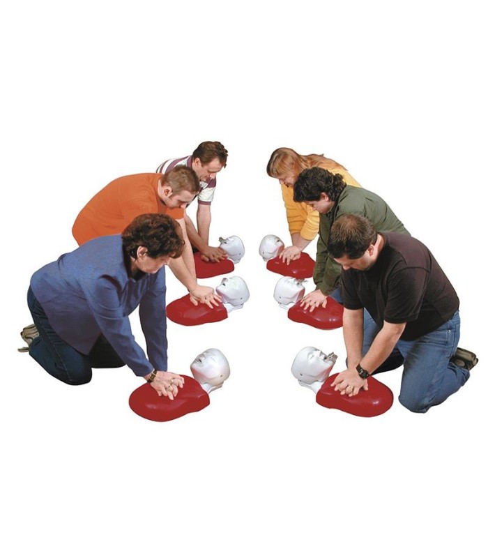 Basic Buddy HLW-Schulungspuppe für Erwachsene und Kinder 20018 || Basic Buddy HLW-Schulungspuppe für Erwachsene und Kinder 20018