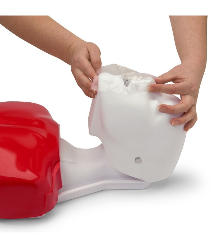 Basic Buddy HLW-Schulungspuppe für Erwachsene und Kinder 20018 || Basic Buddy HLW-Schulungspuppe für Erwachsene und Kinder 20018