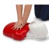 Mannequin de formation RCP Basic Buddy adulte et enfant 20018 | MMF.fr