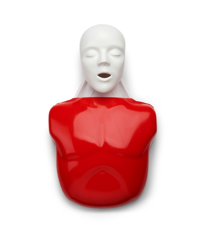 Mannequin de formation RCP Basic Buddy adulte et enfant 20018 | MMF.fr