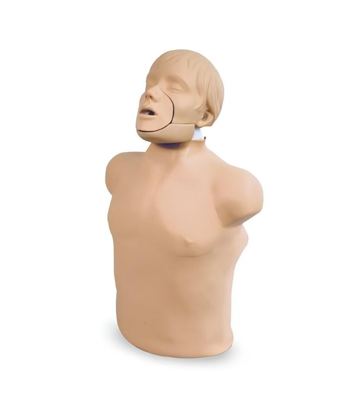 Manikin Adult Brad RCP with movable jaw 32631 | MMF.fr
