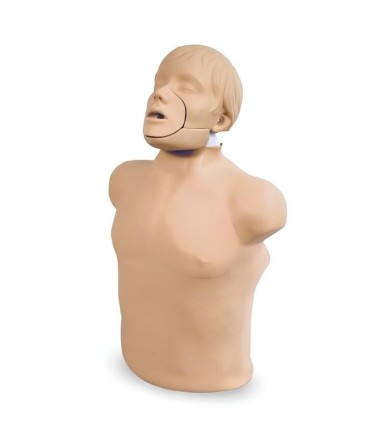 Brad Erwachsenen HLW-Trainingsmannequin mit beweglichem Kiefer