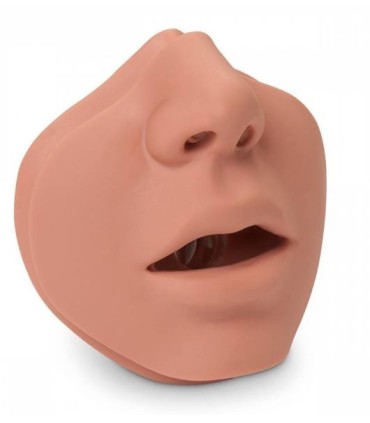 10 Mundstücke für mannequin Erwachsener HLW Brad | MMF.fr