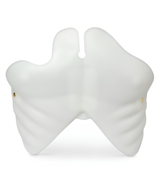 Ersatz-Plastron für Schaufensterpuppe Erwachsene RCP Brad 32733 | MMF.fr