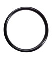O-RING 757329 2-121