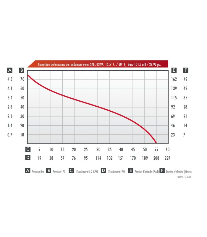 Tragbare Motorpumpe Wick 80-4H mit Wassertank 32423 | MMF.fr