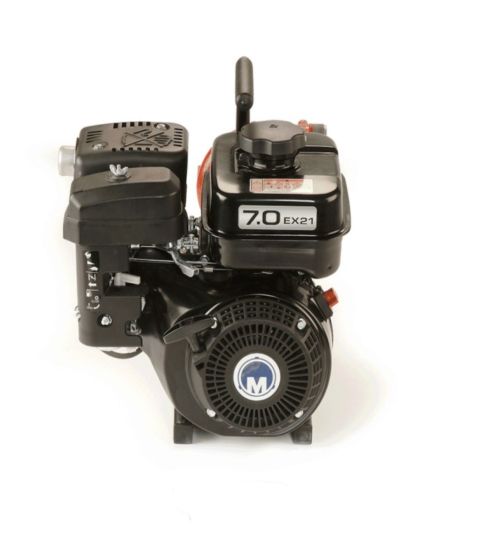 Wick Si 250 portable high-pressure motor pump 34405 | MMF.fr