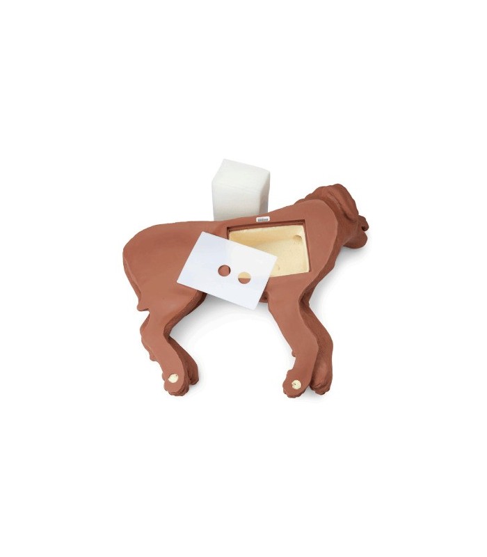 Perro CASPER para entrenamiento RCP 39085 | MMF.fr