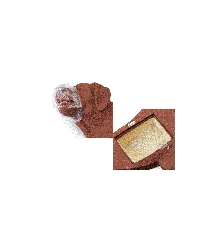 CASPER dog for CPR training 39085 | Zen Cart! MMF.fr