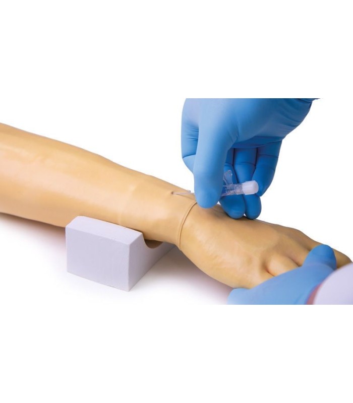 Bras d'entraînement pour injection et perfusion intraveineuse 33885 | MMF.fr