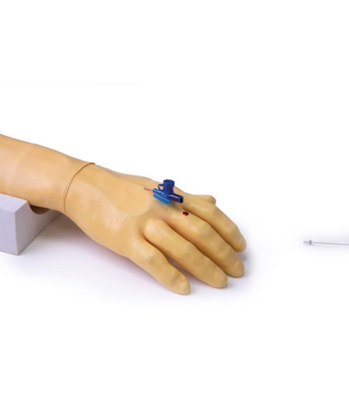 Bras d'entraînement pour injection et perfusion intraveineuse 33885 | MMF.fr