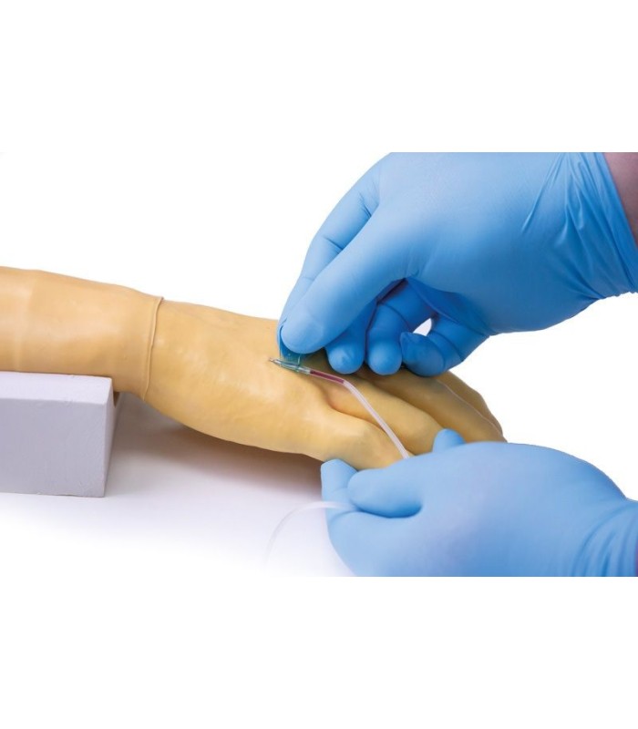 Bras d'entraînement pour injection et perfusion intraveineuse 33885 | MMF.fr