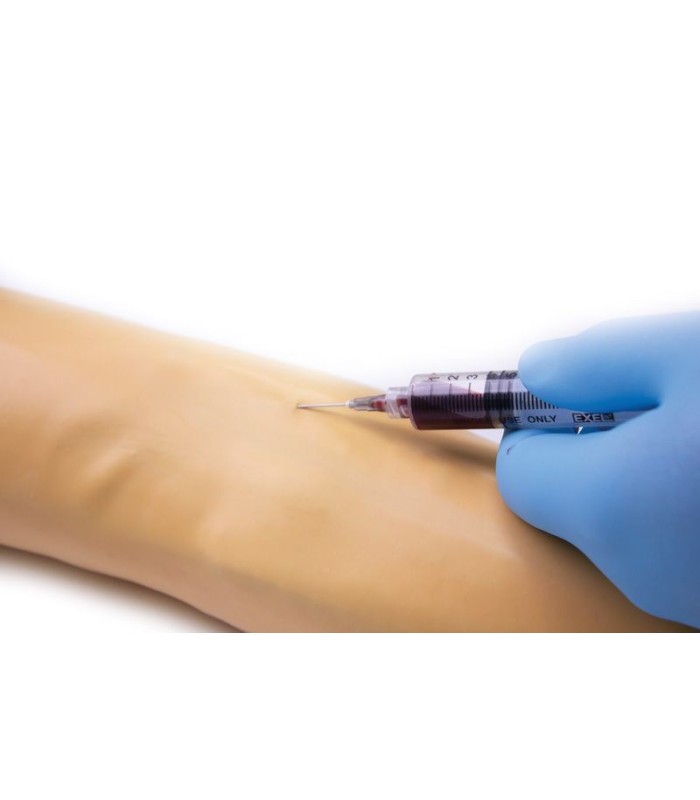 Bras d'entraînement pour injection et perfusion intraveineuse 33885 | MMF.fr