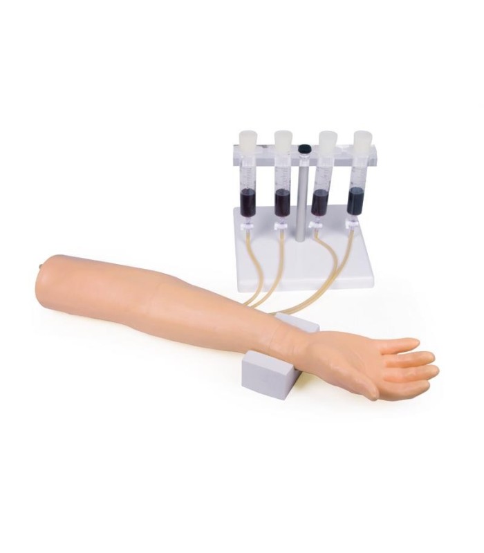 Trainingsarm für intravenöse Injektionen und Infusionen 33885 | MMF.fr