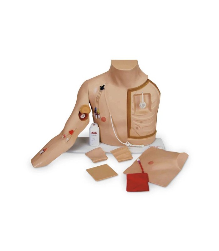Entrenamiento de catéter y acceso vascular torso 34352 | MMF.fr