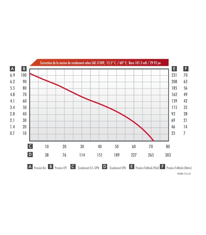 Tragbare Motorpumpe Wick 100M 40192 | MMF.fr