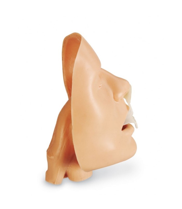 Tête d'entraînement pour pose de canule 32632 | MMF.fr