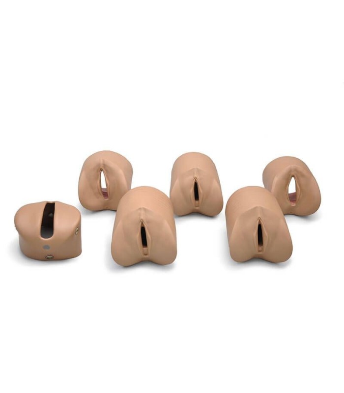 Módulo de trabajo ginecológico maniquí de 6 estaciones 32576 | MMF.fr