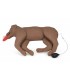 Mannequin canin de RCP Cooper pour formation RCP 41151 | MMF.fr