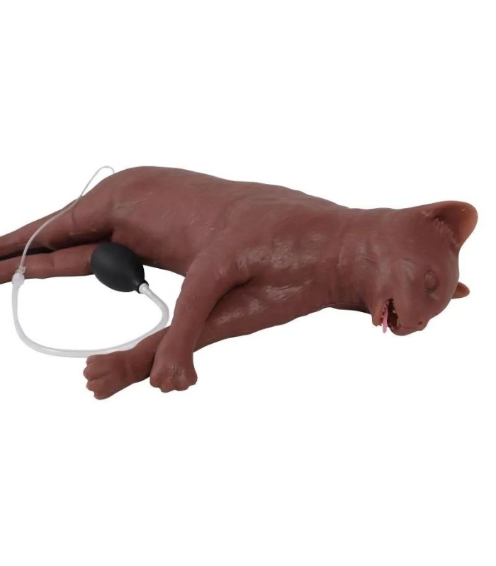 CaPper chat para la formación en RCP | MMF.fr