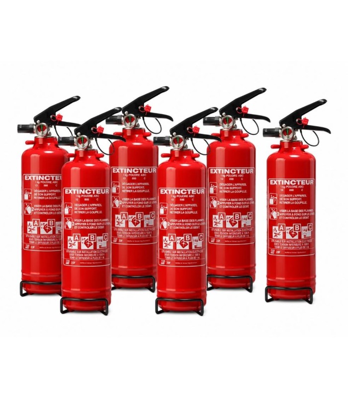 6er-Set ABC-Pulverfeuerlöscher à 1 kg mit Dauerdruck | MMF