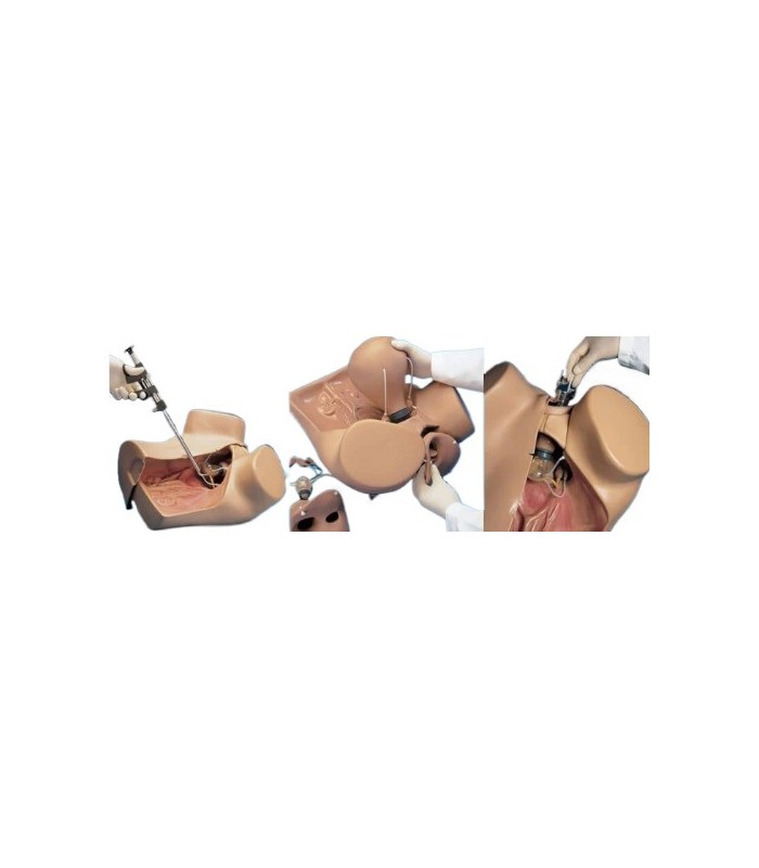 Manikin gynecological simulator ZOE® 32575 | MMF.fr