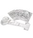 100 poumons pour mannequin Basic Buddy | MMF.fr