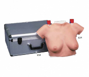 Modèle de buste de palpation mammaire avec valise