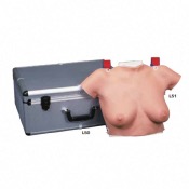 Modèle de buste de palpation mammaire avec Valise