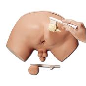 Simulateur d'examen de la prostate