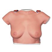 Modèle de buste de palpation mammaire avec Valise