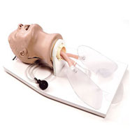 Simulateur d'intubation