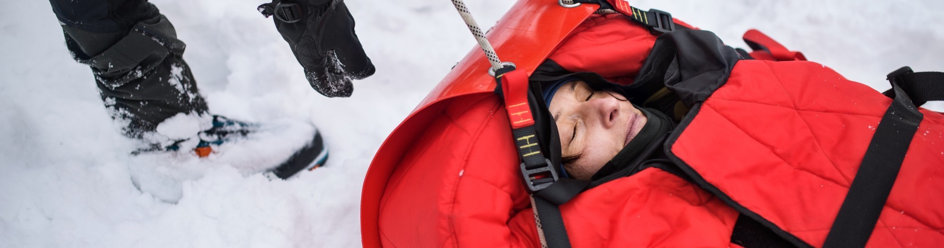 Immobilisation - Transport